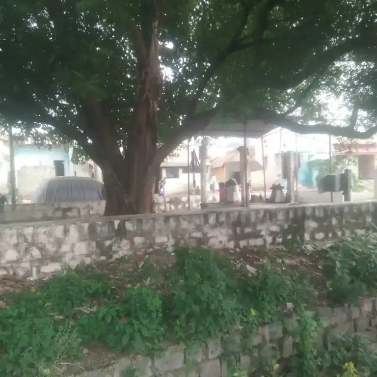 Arulmigu Arasamarathu Vinayagar, Thazhuthazhai - 621103 அருள்மிகு அரசமரத்து விநாயகர் திருக்கோயில், Thazhuthazhai - 621103, Perambalur - Ancient Temple Architecture and History Image 4