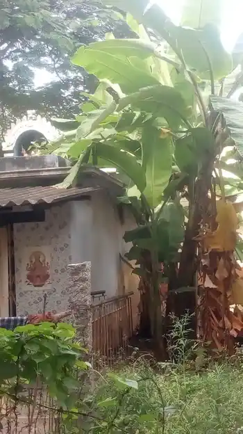 Arulmigu Arasamman Temple, Omalur - 636455 Arulmigu Arasamman Temple, Omalur - 636455, Salem - Ancient Temple Architecture and History Image 2