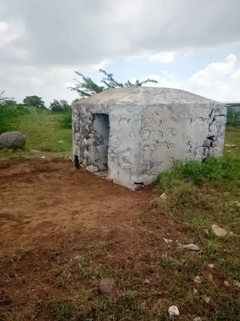 Arulmigu Arasaradi Mugundhapuriamman Temple, Agrahara Periyapalayam - 641607 அருள்மிகு அரசரடிவிநாயகர் முகுந்தாபுரியம்மன் திருக்கோயில், Agrahara Periyapalayam - 641607, Tiruppur - Ancient Temple Architecture and History Image 8