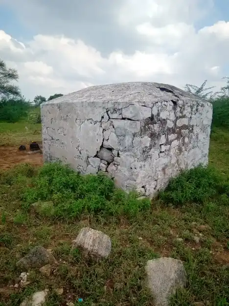 Arulmigu Arasaradi Mugundhapuriamman Temple, Agrahara Periyapalayam - 641607 அருள்மிகு அரசரடிவிநாயகர் முகுந்தாபுரியம்மன் திருக்கோயில், Agrahara Periyapalayam - 641607, Tiruppur - Ancient Temple Architecture and History Image 9