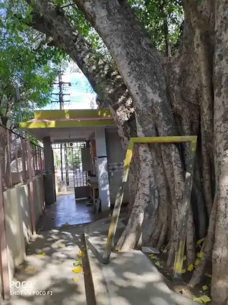 Arulmigu Arasaradi Vinayagar Temple, Chinthamani - 627855 அருள்மிகு அரசரடி விநாயகர் திருக்கோயில், Chinthamani - 627855, Tenkasi - Ancient Temple Architecture and History Image 4