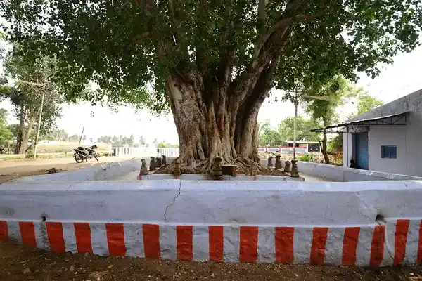 Arulmigu Arasaradi Vinayagar Temple, Pettai - 627004 அருள்மிகு அரசரடி விநாயகர் திருக்கோயில், - 627004, Tirunelveli - Ancient Temple Architecture and History Image 3