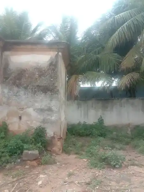 Arulmigu Arasaradi Vinayagar Temple, Unjampatti - 625533 அருள்மிகு அரசரடி விநாயகர் கோயில், ஊஞ்சாம்பட்டி - 625533, Theni - Ancient Temple Architecture and History Image 4