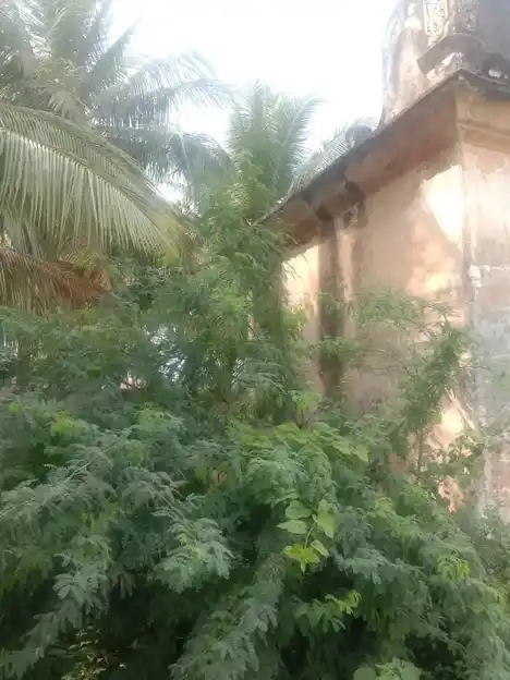 Arulmigu Arasaradi Vinayagar Temple, Unjampatti - 625533 அருள்மிகு அரசரடி விநாயகர் கோயில், ஊஞ்சாம்பட்டி - 625533, Theni - Ancient Temple Architecture and History Image 5