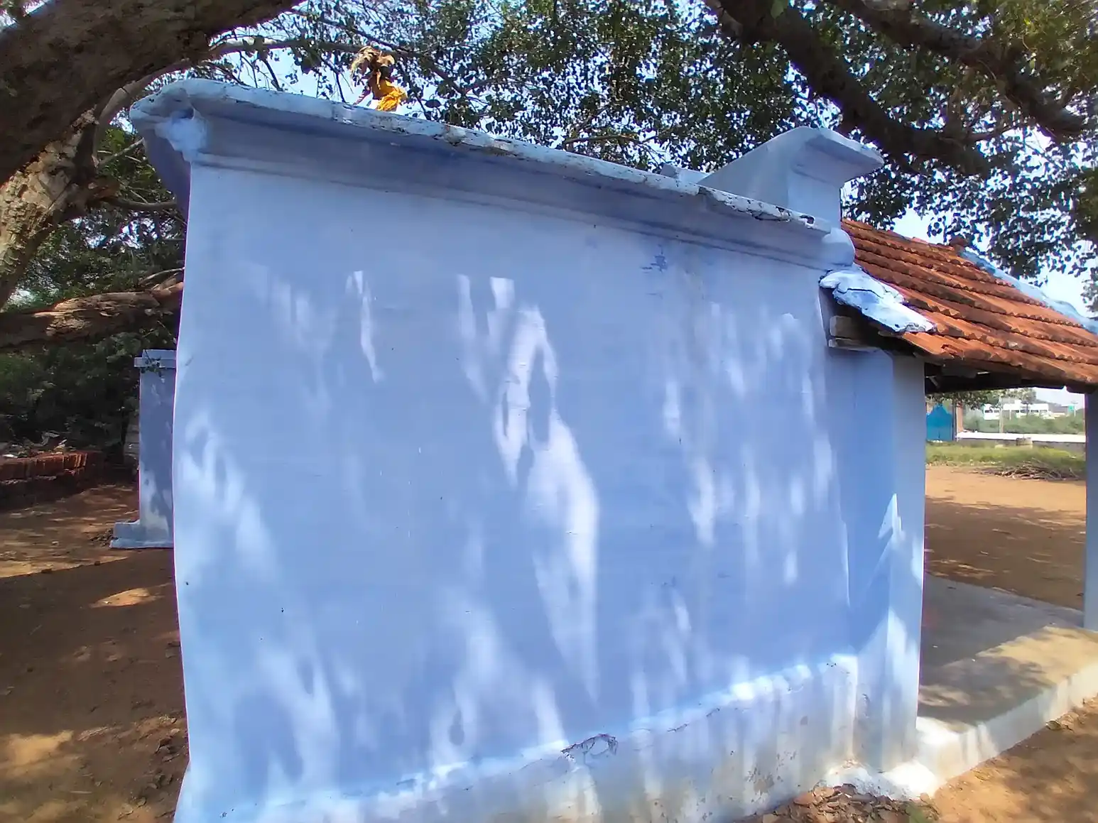 Arulmigu Arasaradi Vinayagar Temple, -, Veeranam - 627861 அருள்மிகு அரசரடி விநாயகர் திருக்கோயில், -, Veeranam - 627861, Tenkasi - Ancient Temple Architecture and History Image 4