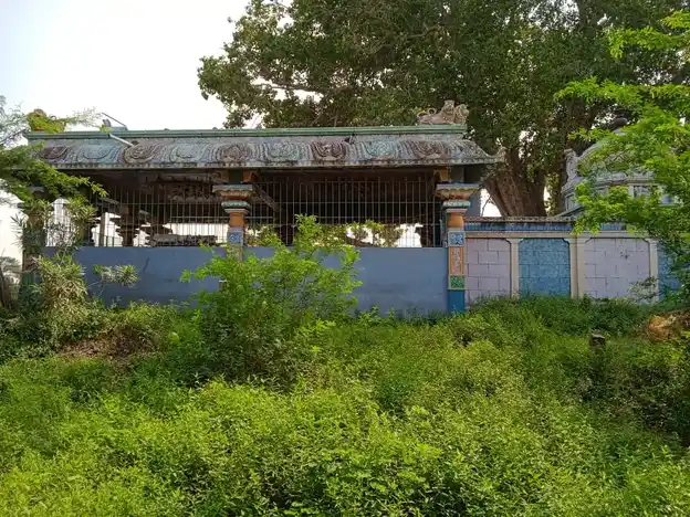 Arulmigu Arasatyamman Temple, Panankottur - 603202 அருள்மிகு அரசடியம்மன் திருக்கோயில், Panankottur - 603202, Chengalpattu - Ancient Temple Architecture and History Image 2