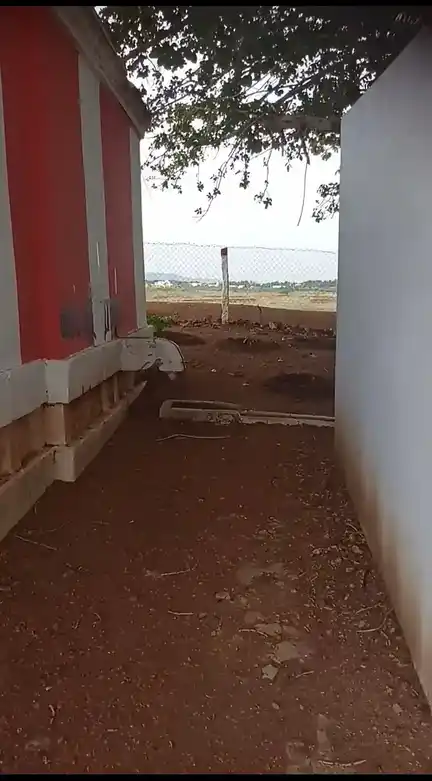 Arulmigu Arasazhvar Temple, Nochchikulam, Palayamkottai - 627011 அருள்மிகு அரசாழ்வார் திருக்கோயில், Nochchikulam, Palayamkottai - 627011, Tirunelveli - Ancient Temple Architecture and History Image 5