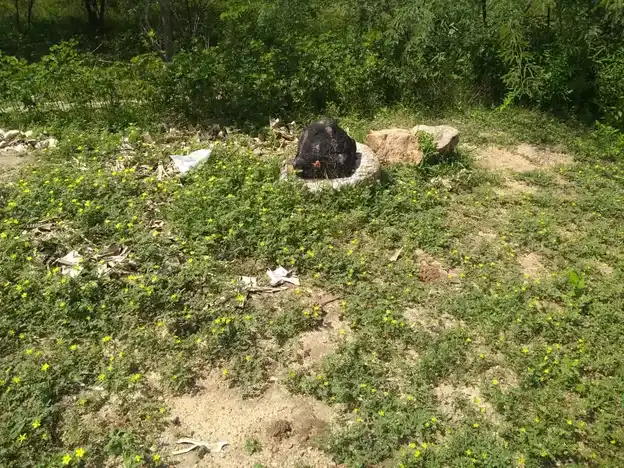 Arulmigu Arasu Makkal Temple, Kullangudippatti - 625101 அருள்மிகு அரசு மக்கள் திருக்கோயில், Kullangudippatti - 625101, Madurai - Ancient Temple Architecture and History Image 2