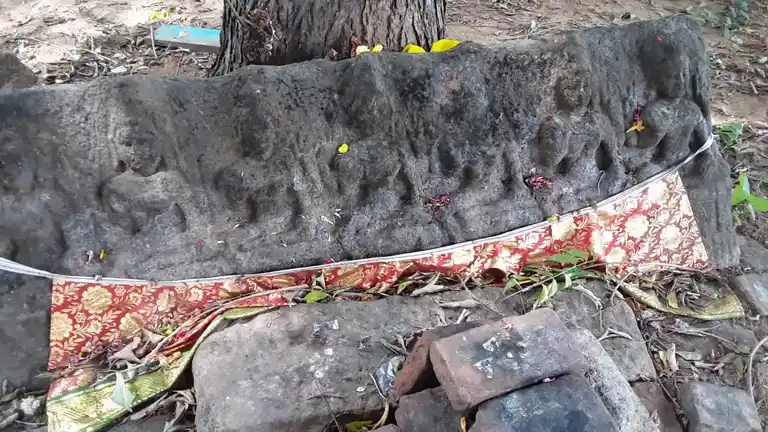 Arulmigu Aravamadakiyamman Temple, Sheshasamuthiram - 621704 Arulmigu Aravamadakiyamman Temple, Sheshasamuthiram - 621704, Thiruchirappalli - Ancient Temple Architecture and History Image 4