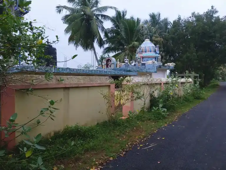 Arulmigu Aravanayakiyamman Temple, Thirungudi - 622301 அருள்மிகு அரவ நாயகி அம்மன் திருக்கோயில், Thirungudi - 622301, Pudukkottai - Ancient Temple Architecture and History Image 2