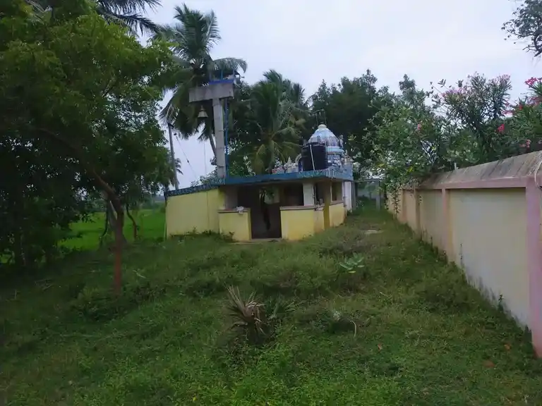 Arulmigu Aravanayakiyamman Temple, Thirungudi - 622301 அருள்மிகு அரவ நாயகி அம்மன் திருக்கோயில், Thirungudi - 622301, Pudukkottai - Ancient Temple Architecture and History Image 6