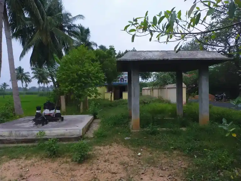 Arulmigu Aravanayakiyamman Temple, Thirungudi - 622301 அருள்மிகு அரவ நாயகி அம்மன் திருக்கோயில், Thirungudi - 622301, Pudukkottai - Ancient Temple Architecture and History Image 7