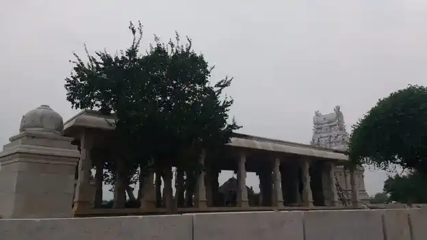 Arulmigu Ariyanaacchiyamman Temple, Udaiyandipatti - 622502 Temple