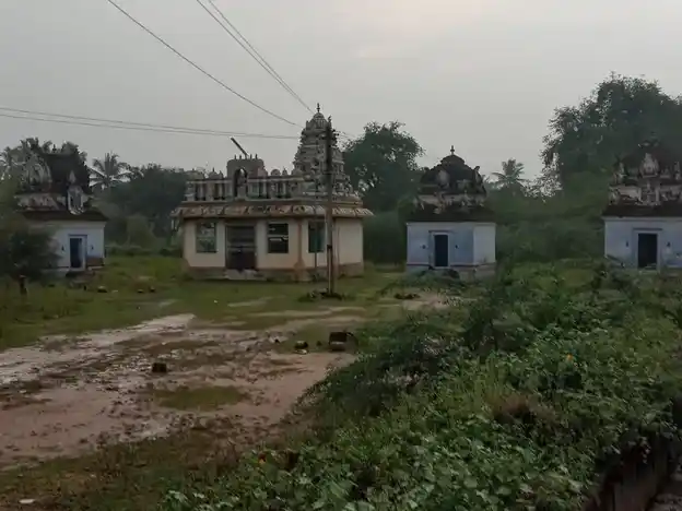 Arulmigu Ariyanatchiyaar Temple, Madur - 624306 அருள்மிகு அரியநாச்சியார் திருக்கோவில், Madur - 624306, Dindigul - Ancient Temple Architecture and History Image 3