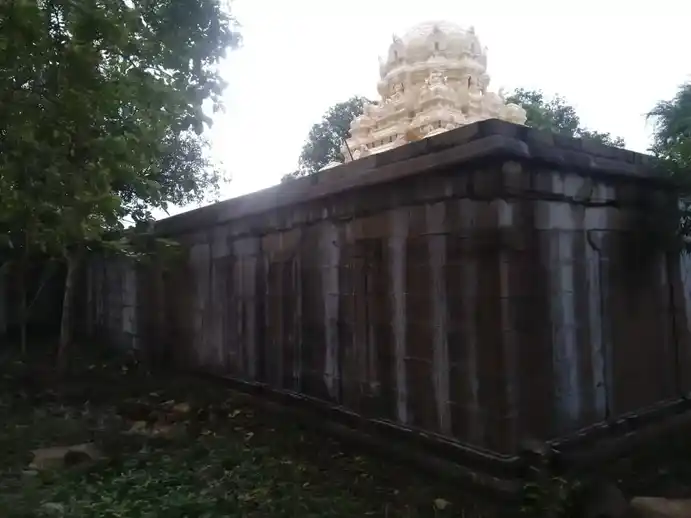 Arulmigu Ariyanathaswamy Temple, Arikesavanallur - 627426 அருள்மிகு அரியநாதசுவாமி திருக்கோயில், அரிகேசவநல்லூா் - 627426, Tirunelveli - Ancient Temple Architecture and History Image 5