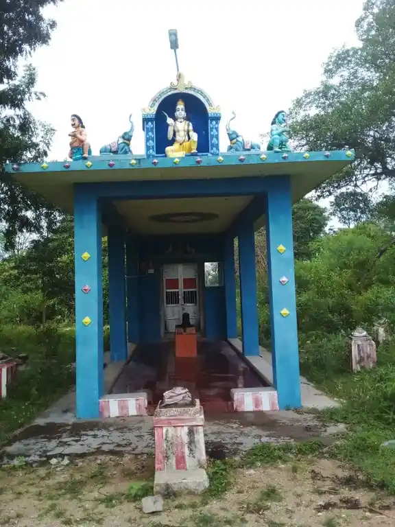 Arulmigu Ariyaperumal Temple, Karaiyur - 622002 அருள்மிகு ஆரியப்பெருமாள் திருக்கோயில், Karaiyur - 622002, Pudukkottai - Ancient Temple Architecture and History Image 7