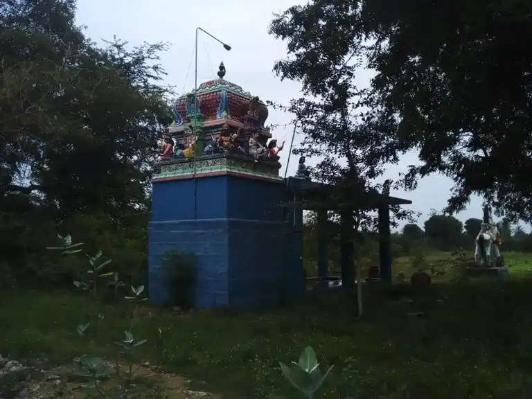 Arulmigu Ariyaperumal Temple, Karaiyur - 622002 அருள்மிகு ஆரியப்பெருமாள் திருக்கோயில், Karaiyur - 622002, Pudukkottai - Ancient Temple Architecture and History Image 9