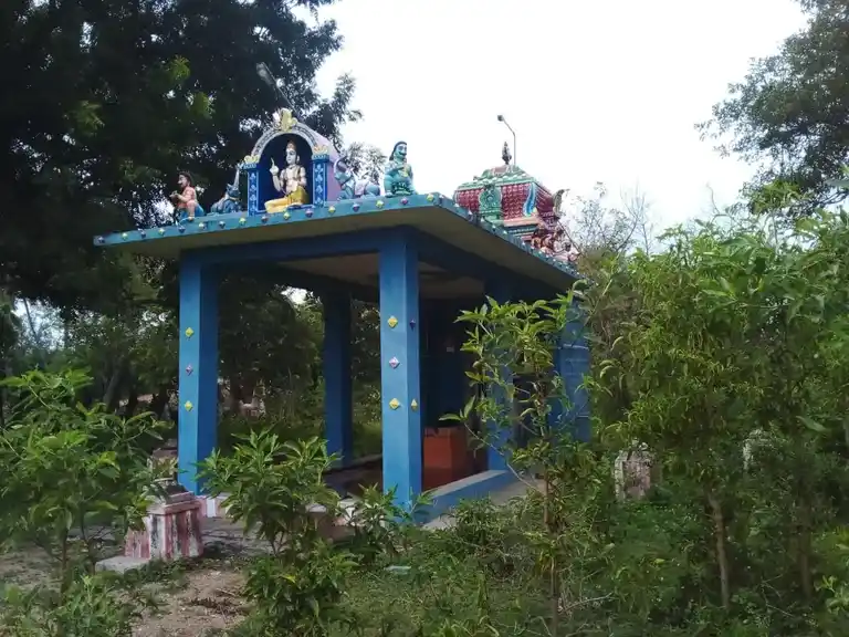 Arulmigu Ariyaperumal Temple, Karaiyur - 622002 அருள்மிகு ஆரியப்பெருமாள் திருக்கோயில், Karaiyur - 622002, Pudukkottai - Ancient Temple Architecture and History Image 11