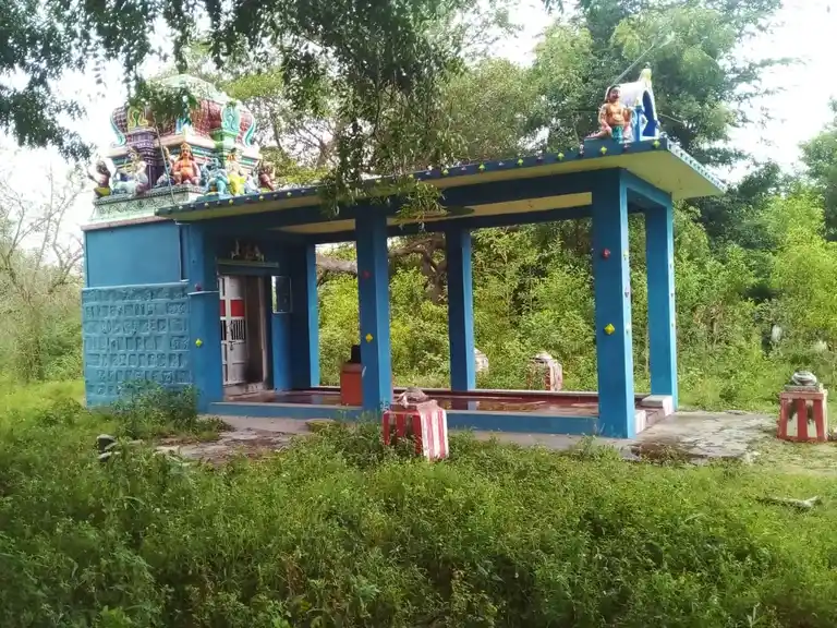 Arulmigu Ariyaperumal Temple, Karaiyur - 622002 அருள்மிகு ஆரியப்பெருமாள் திருக்கோயில், Karaiyur - 622002, Pudukkottai - Ancient Temple Architecture and History Image 13