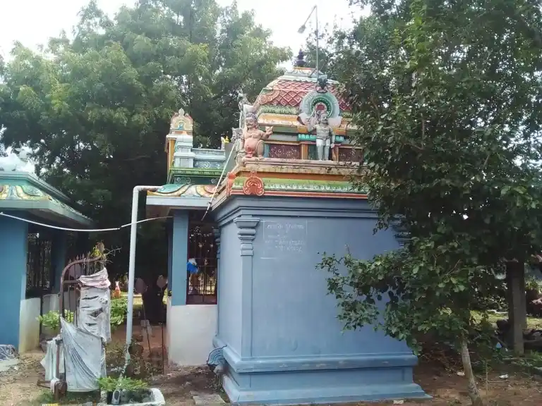 Arulmigu Ariyaperumal Temple, Karaiyur - 622002 அருள்மிகு ஆரியப்பெருமாள் திருக்கோயில், Karaiyur - 622002, Pudukkottai - Ancient Temple Architecture and History Image 17