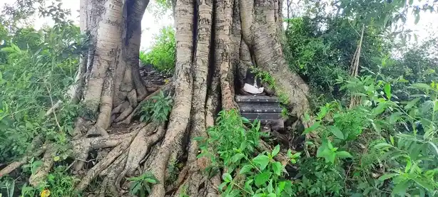 Arulmigu Arkaduayyanar Temple, Aanandhathandavapuram - 609103 அருள்மிகு ஆற்காடு அய்யனார் திருக்கோயில், Aanandhathandavapuram - 609103, Mayiladuthurai - Ancient Temple Architecture and History Image 3