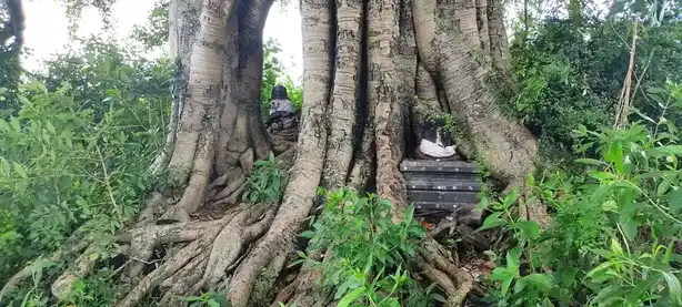 Arulmigu Arkaduayyanar Temple, Aanandhathandavapuram - 609103 அருள்மிகு ஆற்காடு அய்யனார் திருக்கோயில், Aanandhathandavapuram - 609103, Mayiladuthurai - Ancient Temple Architecture and History Image 5