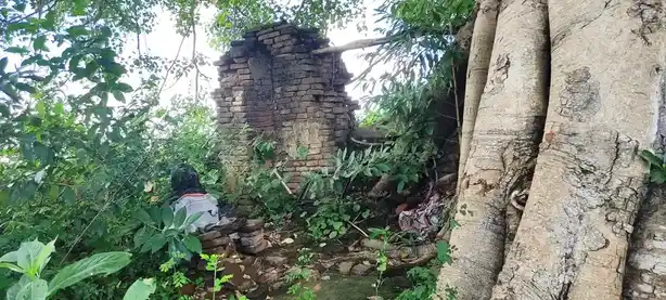 Arulmigu Arkaduayyanar Temple, Aanandhathandavapuram - 609103 அருள்மிகு ஆற்காடு அய்யனார் திருக்கோயில், Aanandhathandavapuram - 609103, Mayiladuthurai - Ancient Temple Architecture and History Image 7