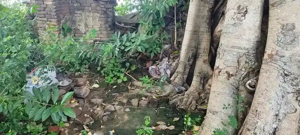 Arulmigu Arkaduayyanar Temple, Aanandhathandavapuram - 609103 அருள்மிகு ஆற்காடு அய்யனார் திருக்கோயில், Aanandhathandavapuram - 609103, Mayiladuthurai - Ancient Temple Architecture and History Image 9