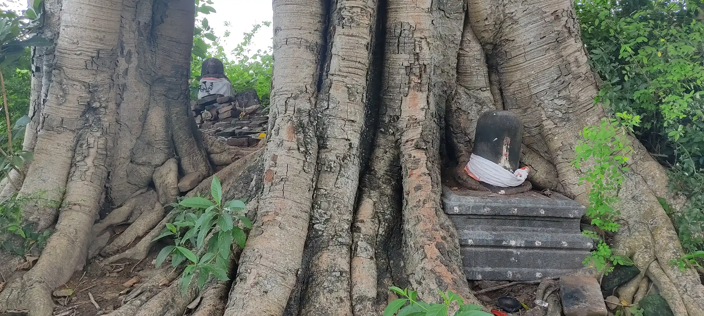 Arulmigu Arkaduayyanar Temple, Aanandhathandavapuram - 609103 அருள்மிகு ஆற்காடு அய்யனார் திருக்கோயில், Aanandhathandavapuram - 609103, Mayiladuthurai - Ancient Temple Architecture and History Image 11