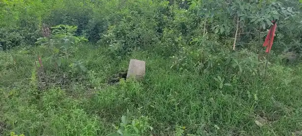 Arulmigu Arkaduayyanar Temple, Aanandhathandavapuram - 609103 அருள்மிகு ஆற்காடு அய்யனார் திருக்கோயில், Aanandhathandavapuram - 609103, Mayiladuthurai - Ancient Temple Architecture and History Image 13