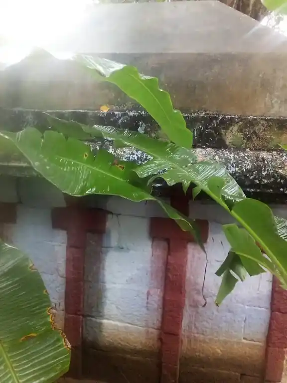 Arulmigu Artha Kandan Sastha Temple, Karakandeswaram, Thirunainarkurichi - 629175 Temple