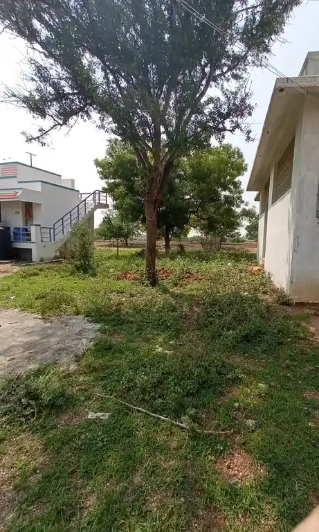 Arulmigu Arumuga Ayyanar Temple, Pillaiyar Nathan - 628503 அருள்மிகு ஆறுமுக அய்யனார் திருக்கோயில், Pillaiyar Nathan - 628503, Thoothukudi - Ancient Temple Architecture and History Image 10