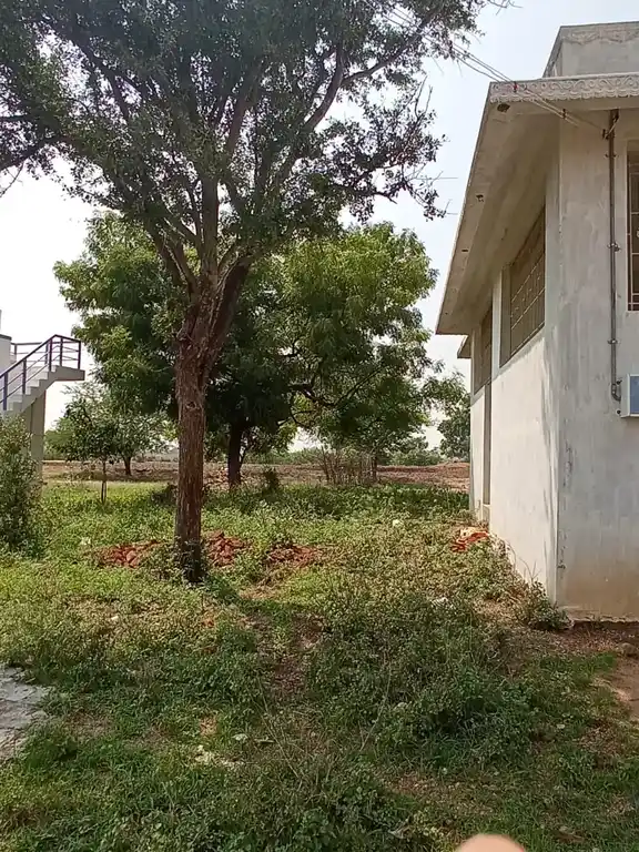 Arulmigu Arumuga Ayyanar Temple, Pillaiyar Nathan - 628503 அருள்மிகு ஆறுமுக அய்யனார் திருக்கோயில், Pillaiyar Nathan - 628503, Thoothukudi - Ancient Temple Architecture and History Image 11