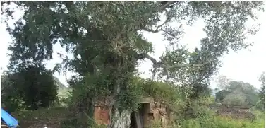 Arulmigu Arunachaleshwarar Temple, Kovilur Jamunamarathur - 606751