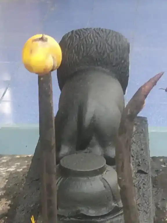 Arulmigu Arunthavanayaki Amman Temple, Kurinjippadi - 621713 Arulmigu Arunthavanayaki Amman Temple, குறிஞ்சிப்பாடி - 621713, Perambalur - Ancient Temple Architecture and History Image 3