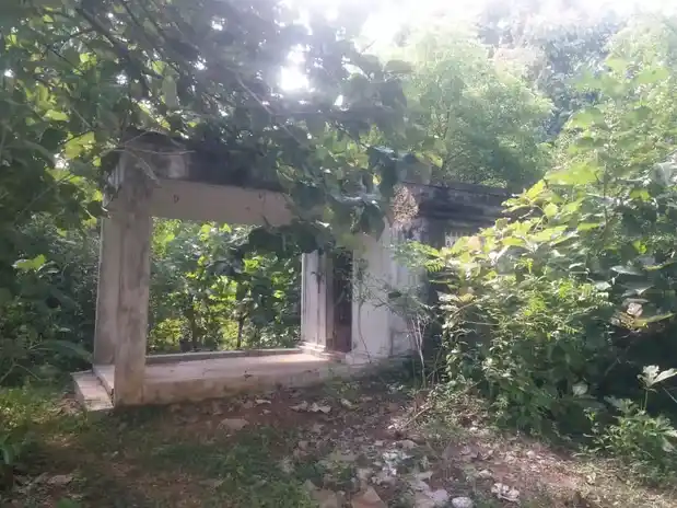 Arulmigu Asalaguru Punitha Subramaniya Swamy Thirumadam, Nilamangalam - 603313 அருள்மிகு அசலகுரு புனித சுப்பிரமணியசுவாமி திருமடம், நீலமங்கலம், காஞ்சிபுரம் மாவட்டம். மடம், Nilamangalam - 603313, Chengalpattu - Ancient Temple Architecture and History Image 2