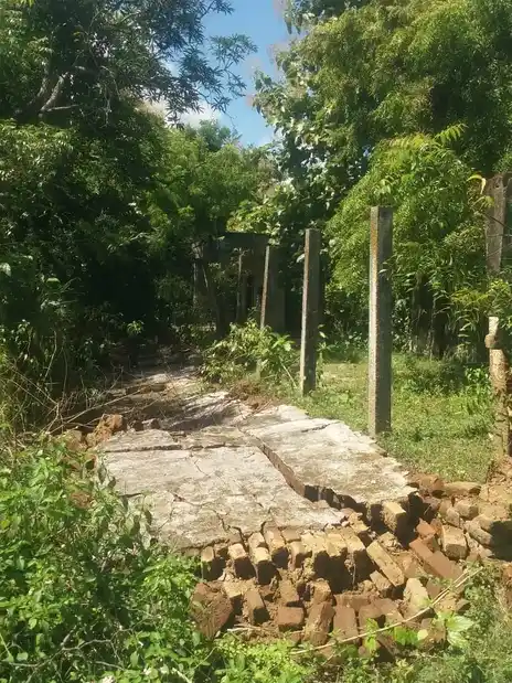 Arulmigu Asalaguru Punitha Subramaniya Swamy Thirumadam, Nilamangalam - 603313 அருள்மிகு அசலகுரு புனித சுப்பிரமணியசுவாமி திருமடம், நீலமங்கலம், காஞ்சிபுரம் மாவட்டம். மடம், Nilamangalam - 603313, Chengalpattu - Ancient Temple Architecture and History Image 5