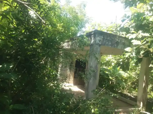 Arulmigu Asalaguru Punitha Subramaniya Swamy Thirumadam, Nilamangalam - 603313 அருள்மிகு அசலகுரு புனித சுப்பிரமணியசுவாமி திருமடம், நீலமங்கலம், காஞ்சிபுரம் மாவட்டம். மடம், Nilamangalam - 603313, Chengalpattu - Ancient Temple Architecture and History Image 6