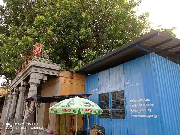 Arulmigu Asta Sithi Vinayagar Temple, Ammapettai, Salem - 636003 அருள்மிகு அஷ்ட சித்தி விநாயகர் திருக்கோவில், அம்மாபேட்டை, Salem - 636003, Salem - Ancient Temple Architecture and History Image 4