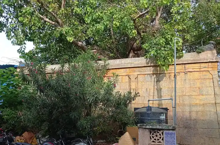 Arulmigu Asta Sithi Vinayagar Temple, Ammapettai, Salem - 636003 அருள்மிகு அஷ்ட சித்தி விநாயகர் திருக்கோவில், அம்மாபேட்டை, Salem - 636003, Salem - Ancient Temple Architecture and History Image 5