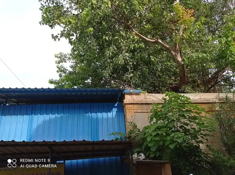 Arulmigu Asta Sithi Vinayagar Temple, Ammapettai, Salem - 636003 அருள்மிகு அஷ்ட சித்தி விநாயகர் திருக்கோவில், அம்மாபேட்டை, Salem - 636003, Salem - Ancient Temple Architecture and History Image 6