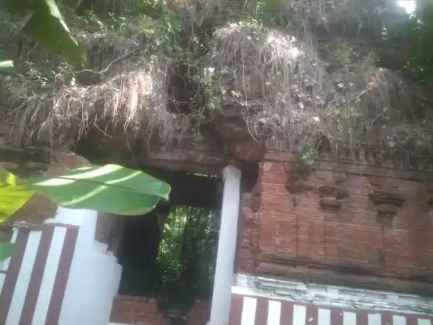 Arulmigu Atchayanatha Swamy Temple, Narasinganpettai - 609802 அருள்மிகு அட்சயநாத சுவாமி திருக்கோயில், Narasinganpettai - 609802, Thanjavur - Ancient Temple Architecture and History Image 4