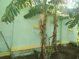 Arulmigu Athankarai Pillaiyar Temple, Watrap, Watrap - 626132 அருள்மிகு ஆத்தங்கரை பிள்ளையார் திருக்கோயில், வத்திராயிருப்பு, வத்திராயிருப்பு கிராமம் - 626132, Virudhunagar - Ancient Temple Architecture and History Image 4