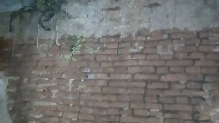 Arulmigu Athanooramman Temple, Palamedu - 637503 அருள்மிகு அத்தனூரம்மன் திருக்கோயில், Palamedu - 637503, Namakkal - Ancient Temple Architecture and History Image 5