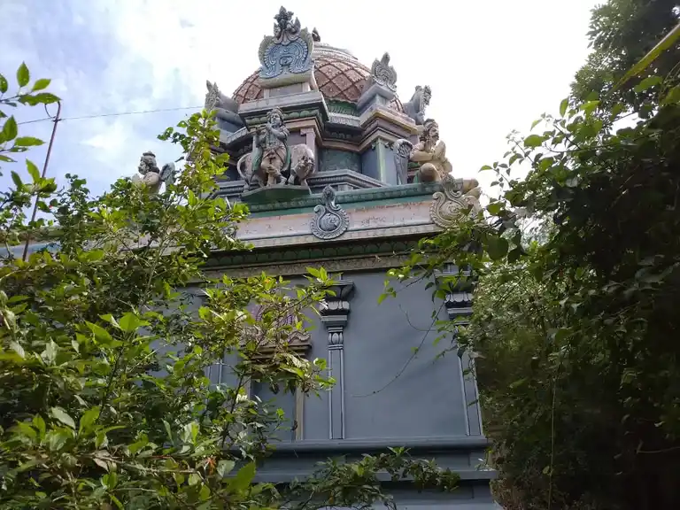 Arulmigu Athimoola Perumal Temple, Atchuthamanaglam - 610105 அருள்மிகு ஆதிமூலப்பெருமாள் திருக்கோயில், Atchuthamanaglam - 610105, Thiruvarur - Ancient Temple Architecture and History Image 4