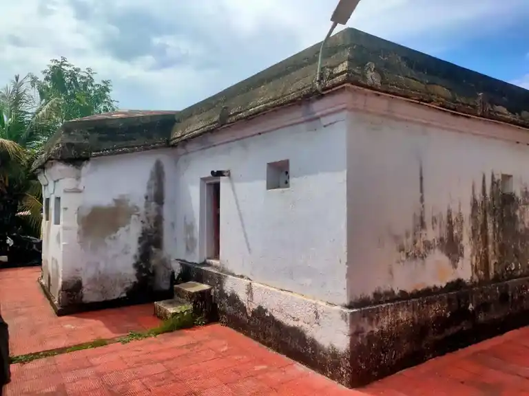Arulmigu Athimoolavinayagar and Santhana Mariyamman Temple, Ozhukinacherry - 627001 அருள்மிகு ஆதிமூலவிநாயகர் மற்றும் சந்தனமாரியம்மன் திருக்கோயில், Ozhukinacherry - 627001, Kanyakumari - Ancient Temple Architecture and History Image 4