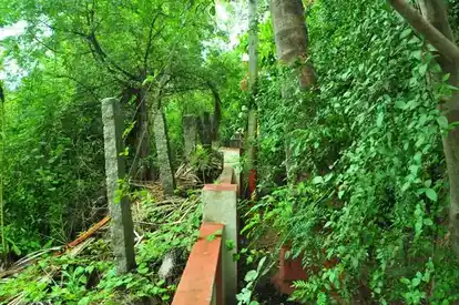 Arulmigu Athimoorkkamman Temple, Perur - 641010 அருள்மிகு அதிமூர்க்கம்மன் திருக்கோயில், பேரூர் - 641010, Coimbatore - Ancient Temple Architecture and History Image 3