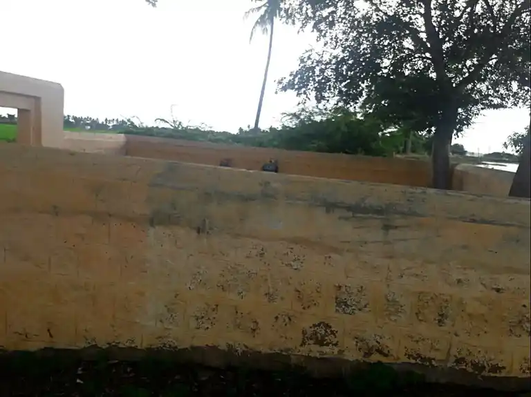 Arulmigu Athinamilagiya Ayyanar Temple, Pannaikudi, Pannaikudi - 625501 ஆதின மிளகிய அய்யனார் கோயில், Pannaikudi, Pannaikudi - 625501, Madurai - Ancient Temple Architecture and History Image 2