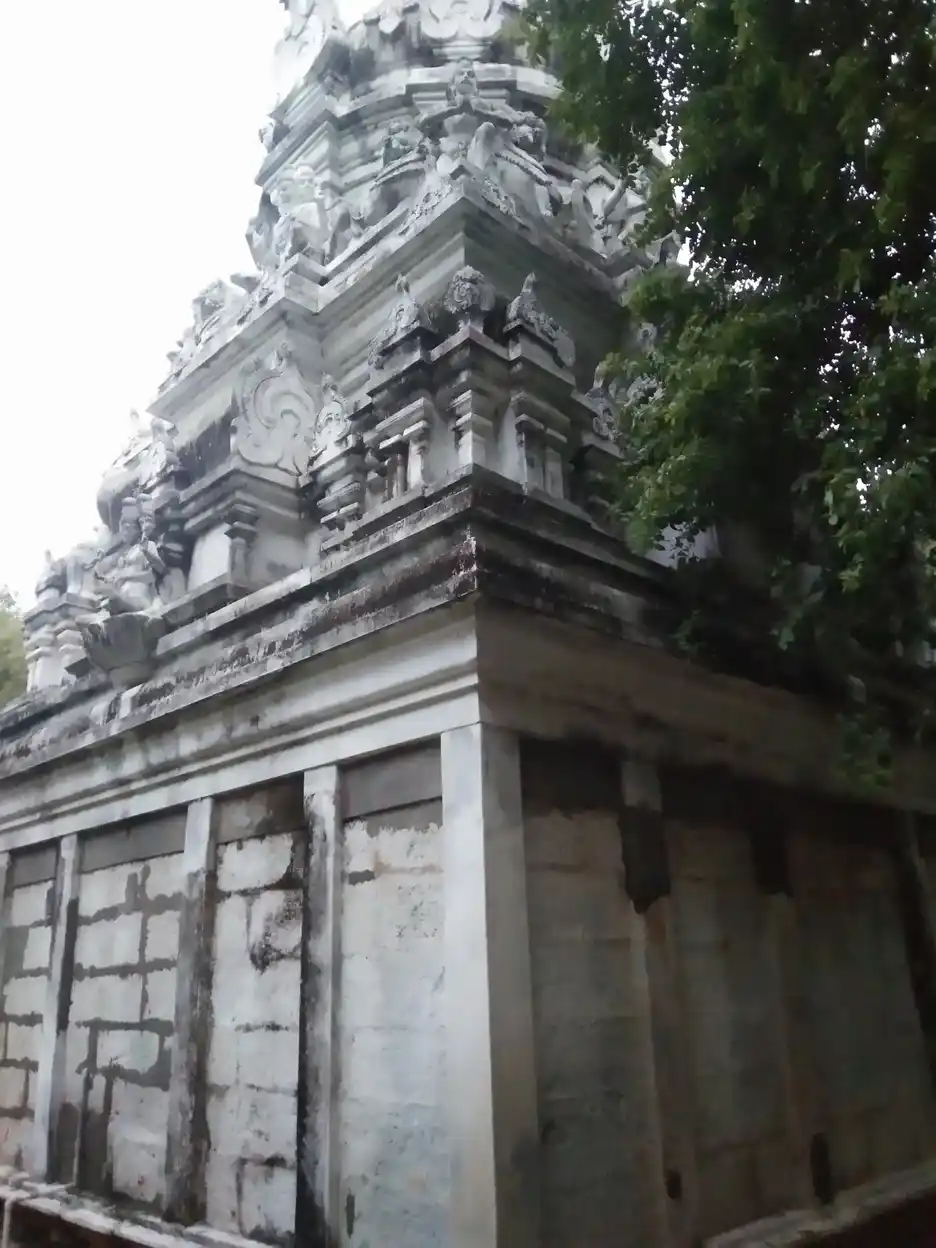 Arulmigu Athinarayana Perumal Temple, Kurumbur - 628615 அருள்மிகு ஆதிநாராயண பெருமாள் திருக்கோயில், Kurumbur - 628615, Thoothukudi - Ancient Temple Architecture and History Image 5