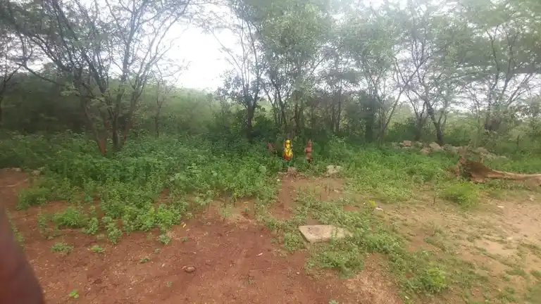Arulmigu Athiraamcheri Ayyanar Temple, Ayyapatti - 625103